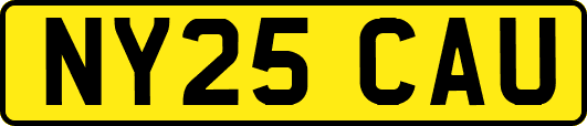 NY25CAU