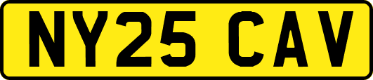 NY25CAV
