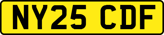 NY25CDF