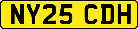 NY25CDH