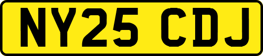 NY25CDJ