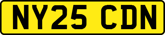 NY25CDN