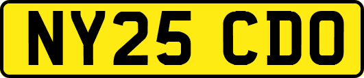 NY25CDO