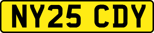 NY25CDY