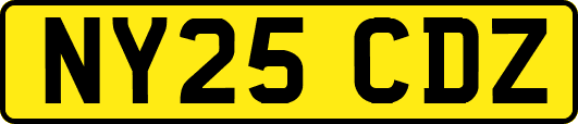 NY25CDZ