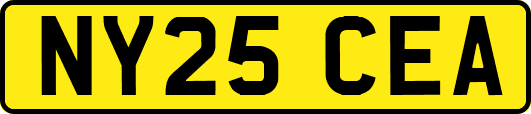 NY25CEA