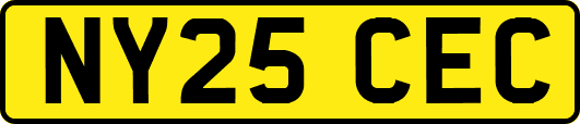 NY25CEC