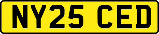 NY25CED