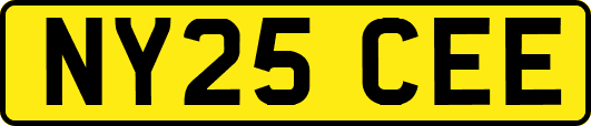 NY25CEE