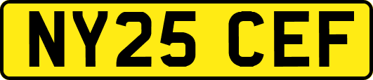 NY25CEF
