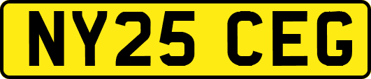 NY25CEG