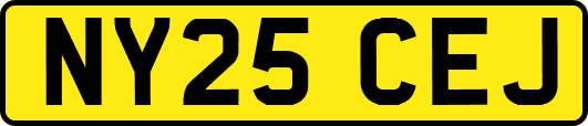 NY25CEJ
