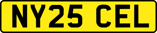 NY25CEL
