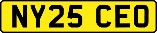 NY25CEO