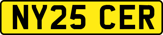 NY25CER