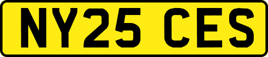NY25CES