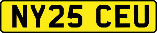 NY25CEU