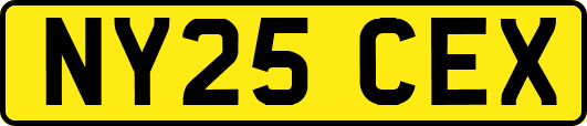 NY25CEX