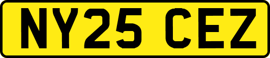 NY25CEZ