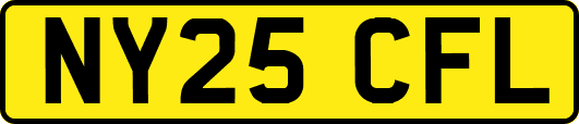 NY25CFL