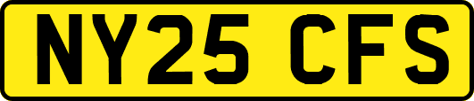 NY25CFS