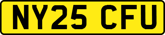 NY25CFU