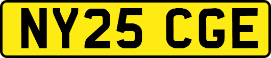 NY25CGE