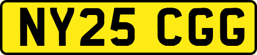 NY25CGG