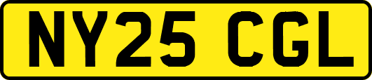 NY25CGL