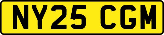 NY25CGM