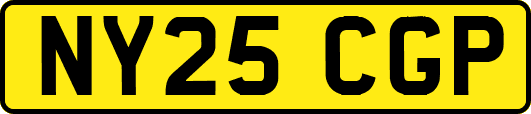 NY25CGP