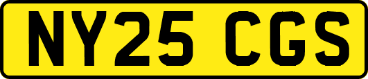 NY25CGS