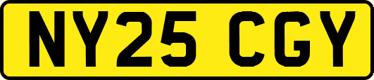 NY25CGY