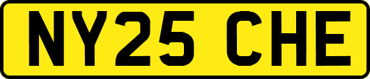 NY25CHE