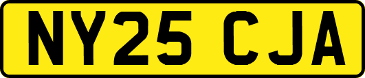 NY25CJA