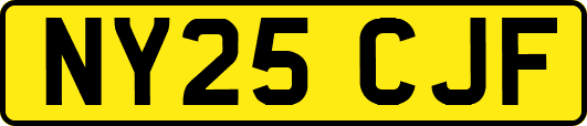 NY25CJF