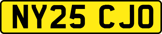 NY25CJO