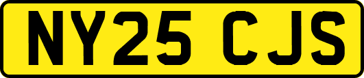 NY25CJS
