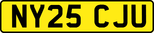 NY25CJU