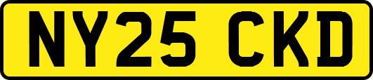 NY25CKD