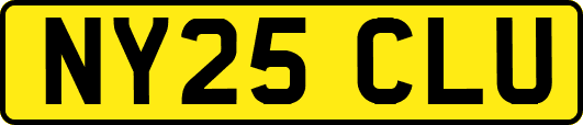 NY25CLU