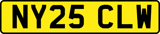 NY25CLW