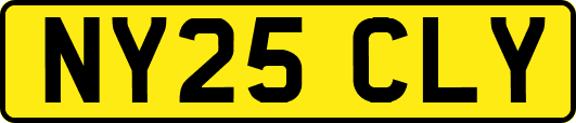 NY25CLY