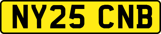 NY25CNB