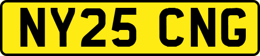 NY25CNG