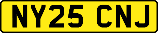 NY25CNJ