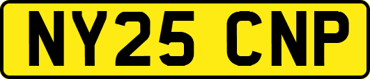 NY25CNP