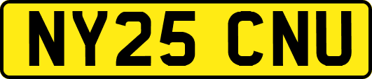 NY25CNU