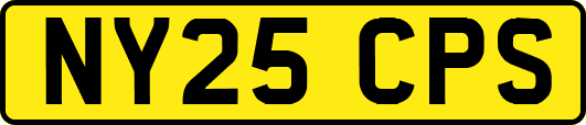 NY25CPS