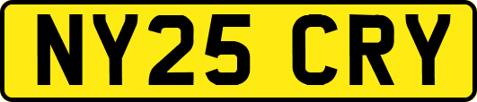 NY25CRY